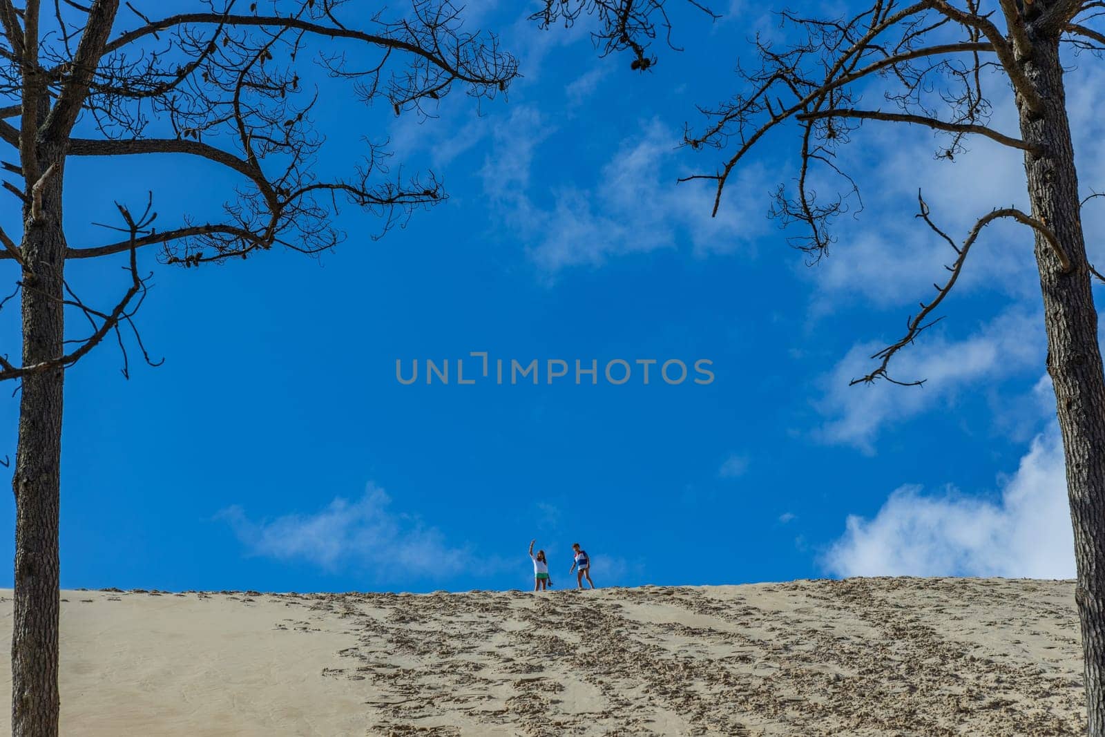 Dune of Pilat, France - August 14, 2024: kids on the Dune of Pilat, the tallest sand dune in Europe. La Teste-de-Buch, Arcachon Bay, Aquitaine, France