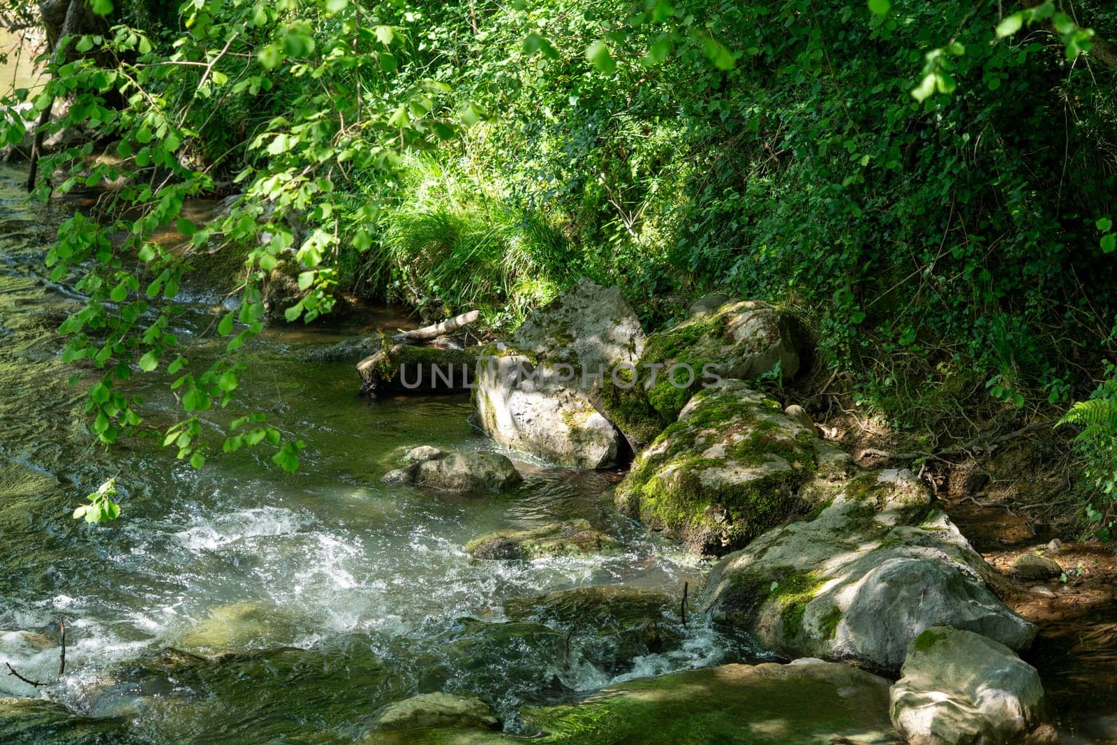 A stream with moss growing on the rocks. The water is clear and the rocks are scattered throughout the stream. The scene is peaceful and serene, with the sunlight shining on the water and the moss