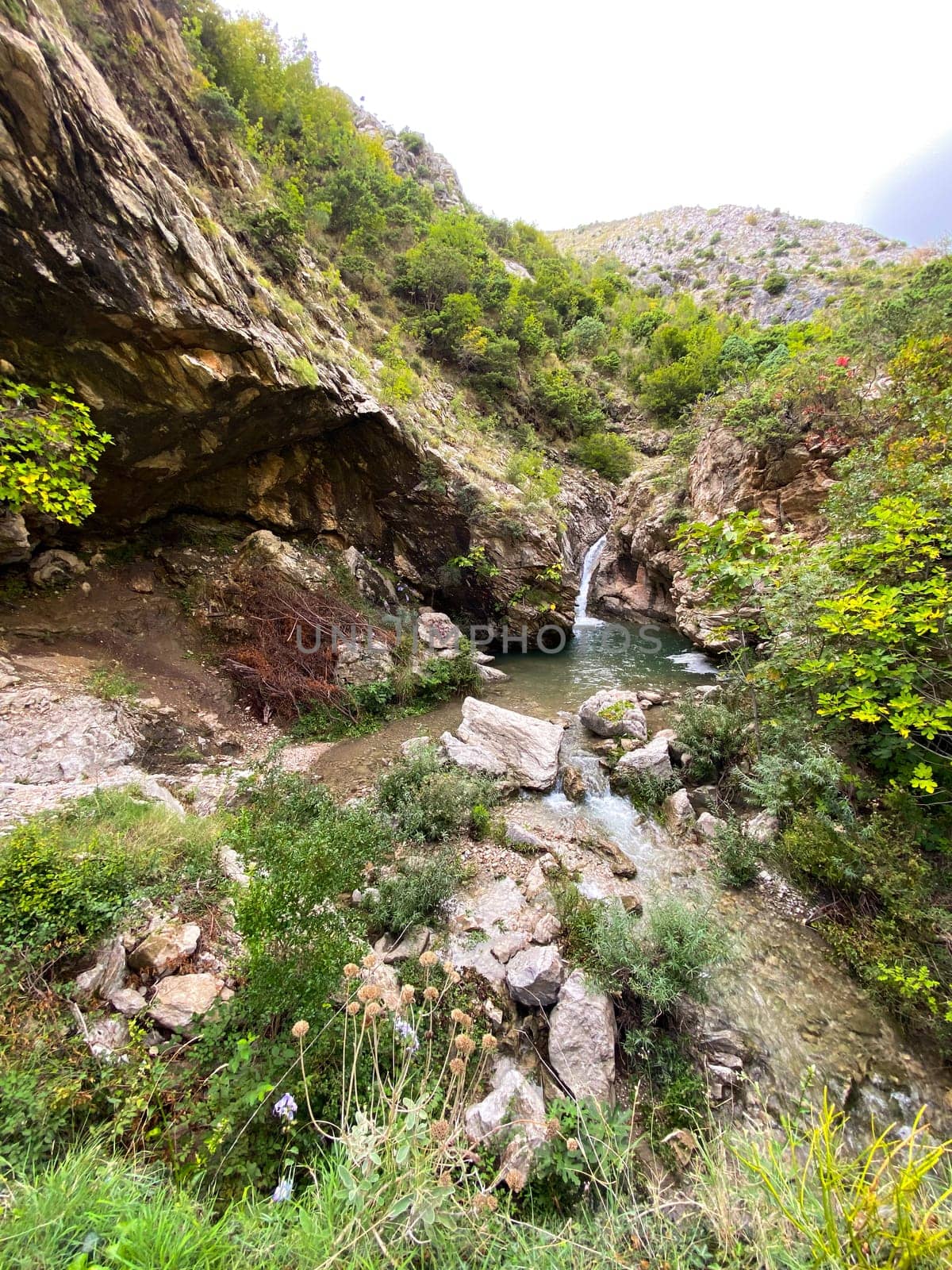 Serene waterfall cascades through a rocky canyon, surrounded by lush greenery and vibrant foliage. Tranquil scene invites contemplation and escape into nature untouched beauty.
