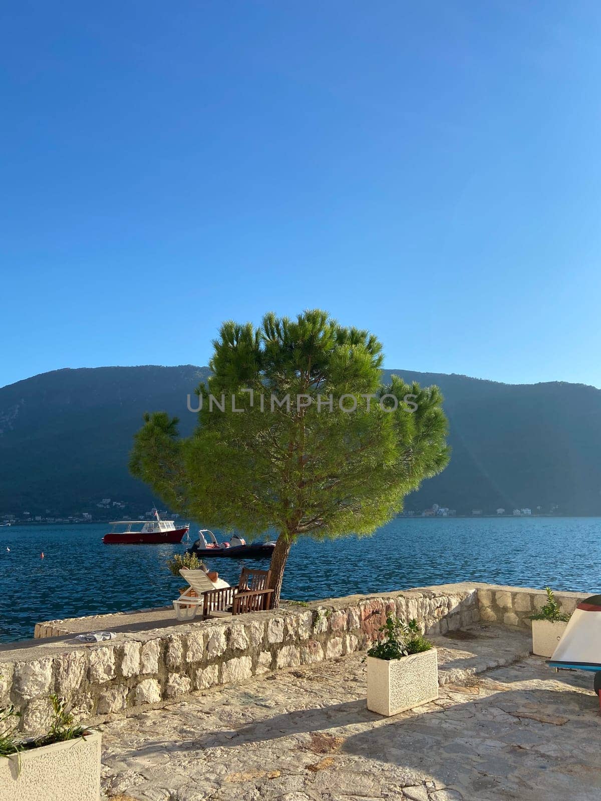 Peaceful moment captured from perspective of someone lounging under a lush, green tree overlooking a clear, blue sea. Nature and relaxation, inviting one to pause and enjoy the tranquility.