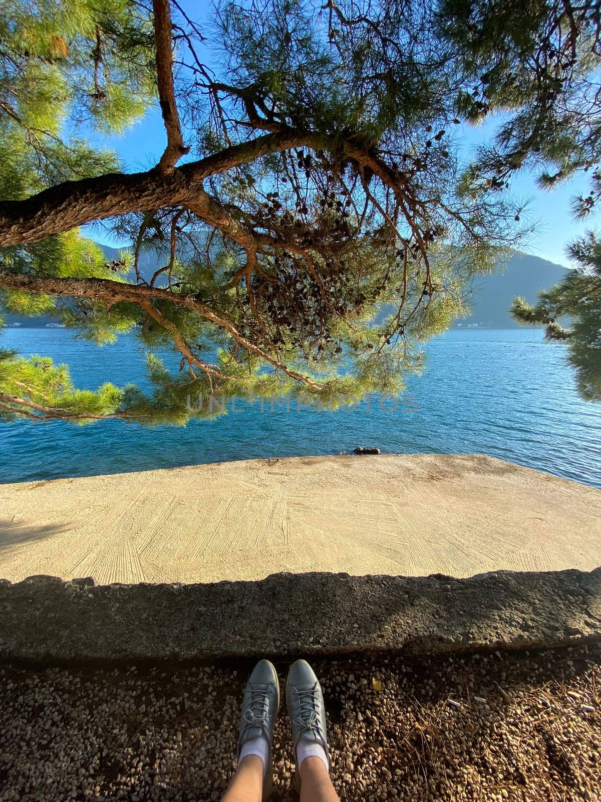 Peaceful moment captured from perspective of someone lounging under a lush, green tree overlooking a clear, blue sea. Nature and relaxation, inviting one to pause and enjoy the tranquility.