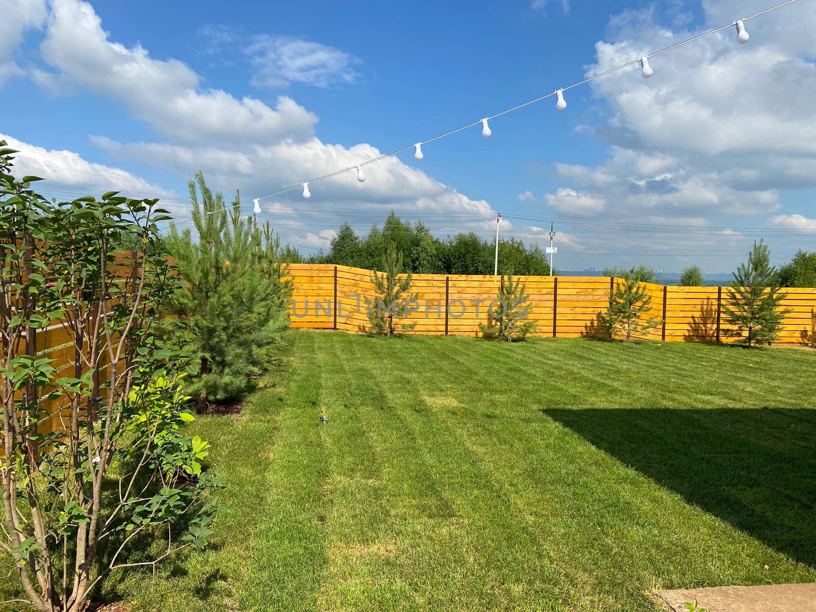 Newly laid lawn in the back garden in spring.
