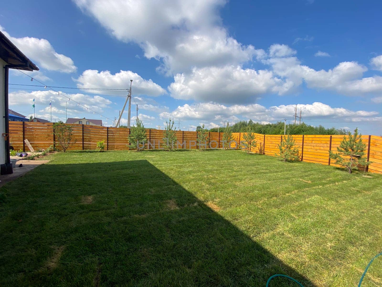 Newly laid lawn in the back garden in spring.