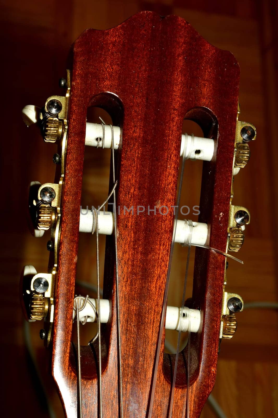 guitar neck with mechanics in a closeup