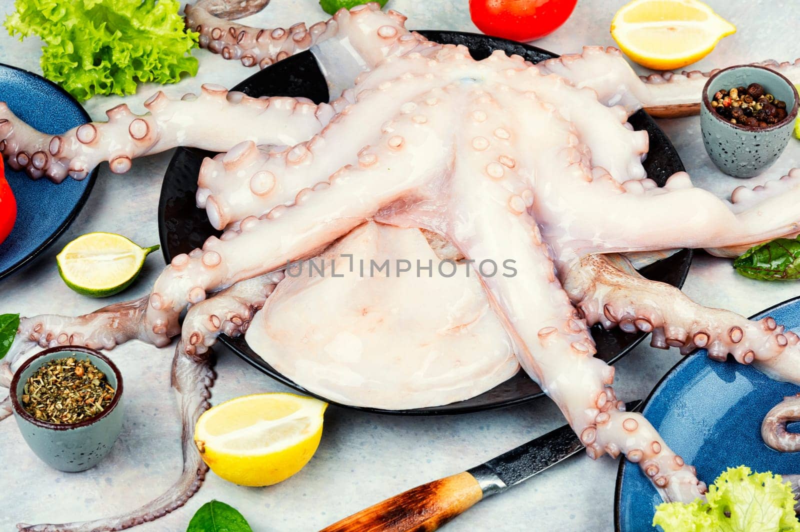 Fresh raw octopus with cooking ingredients. Concept healthy food, Mediterranean diet and seafood.