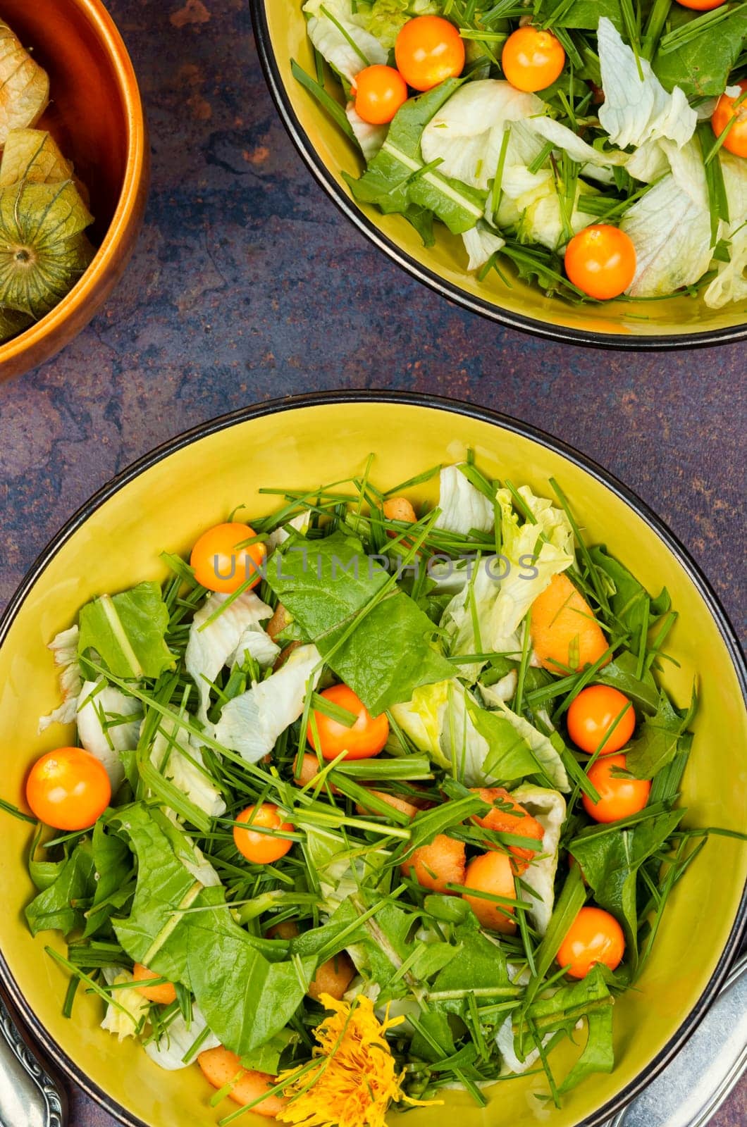 Salad from wild plants, dandelion and physalis.