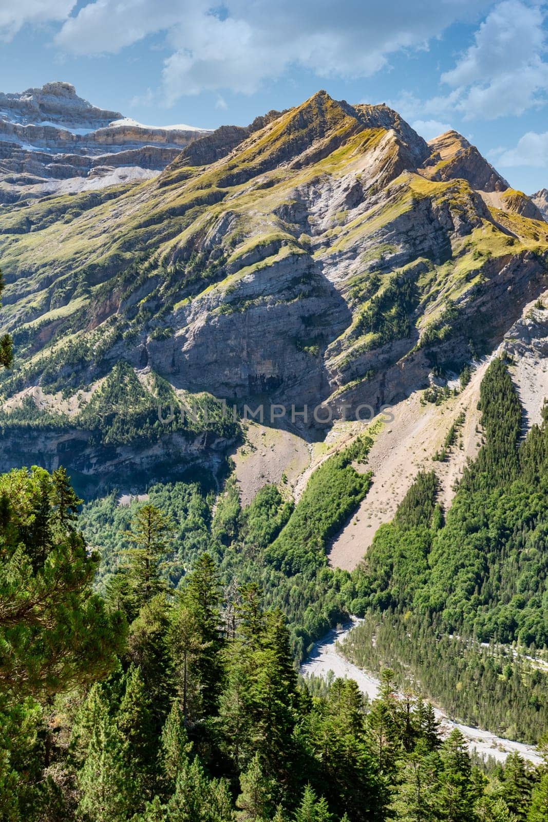 A mountain range with a river running through it. The mountains are covered in trees and the sky is clear