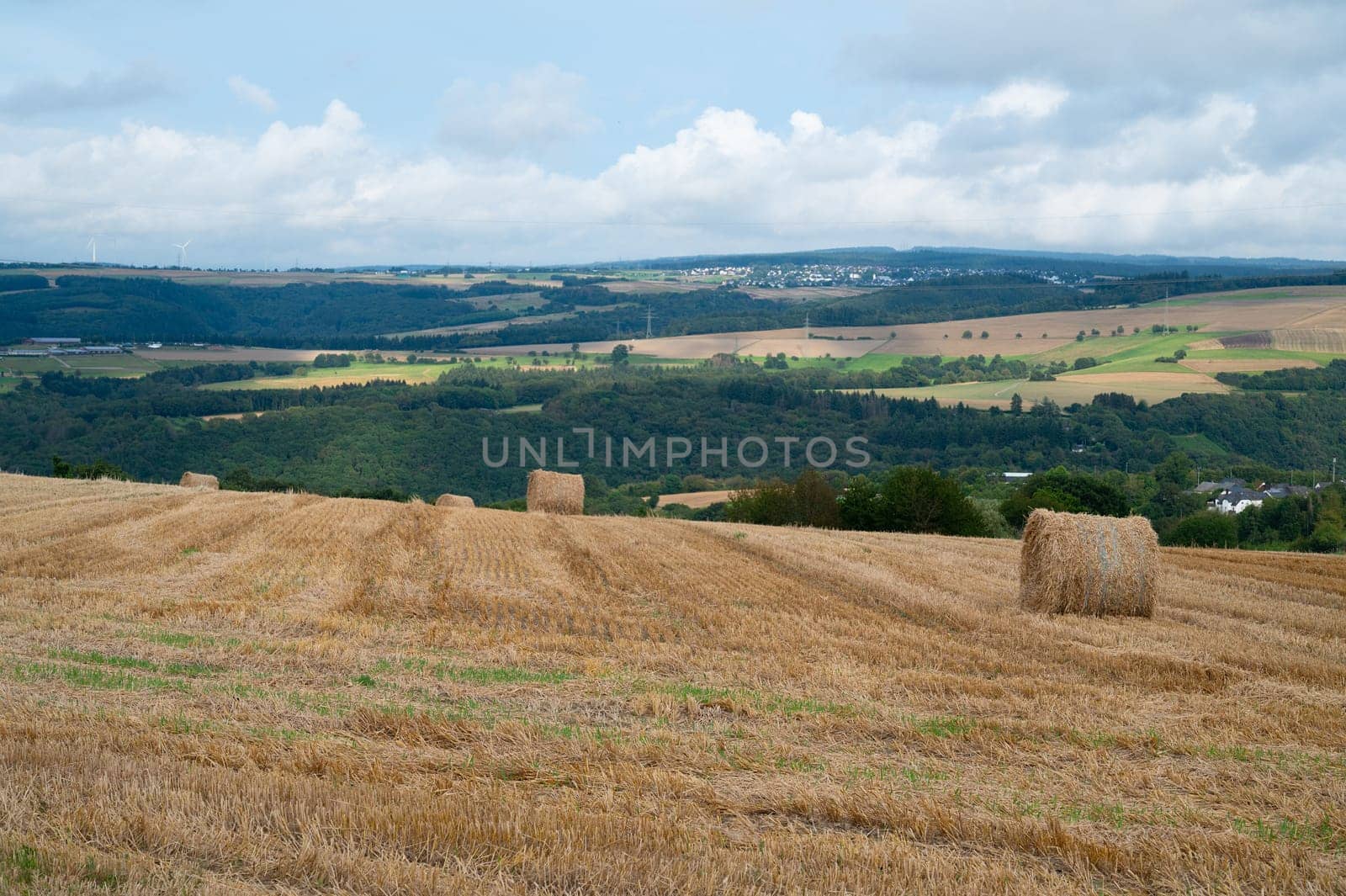 Straw bale on the field, cultivated barley, harvest in the summer, agriculture for food, farmland on the countryside