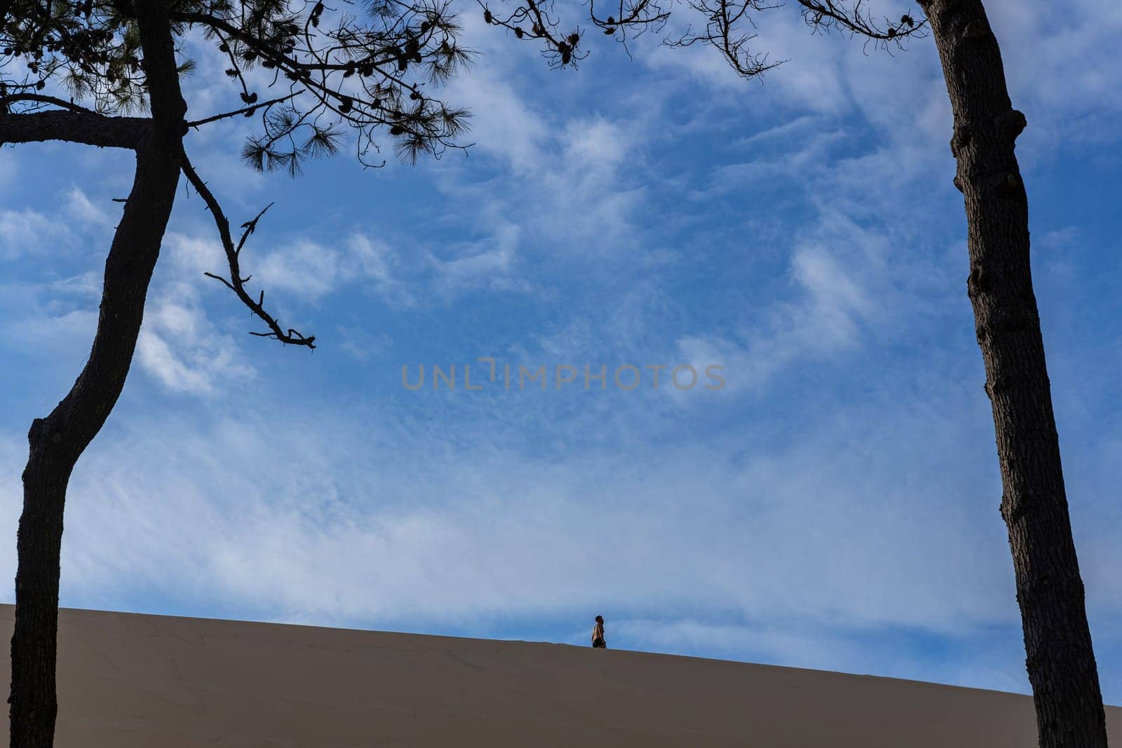 Dune of Pilat, France - August 14,2024: People on the Dune of Man in the dune of Pilat, the tallest sand dune in Europe. La Teste-de-Buch, Arcachon Bay, Aquitaine, France