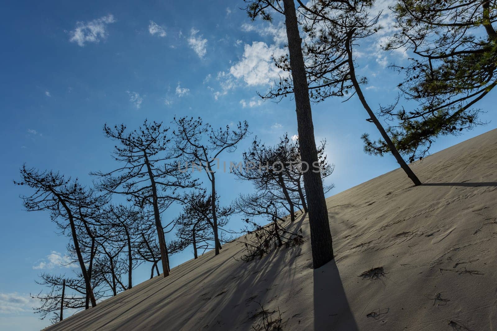 Dune of Pilat, the tallest sand dune in Europe. Arcachon Bay. Aquitaine, France