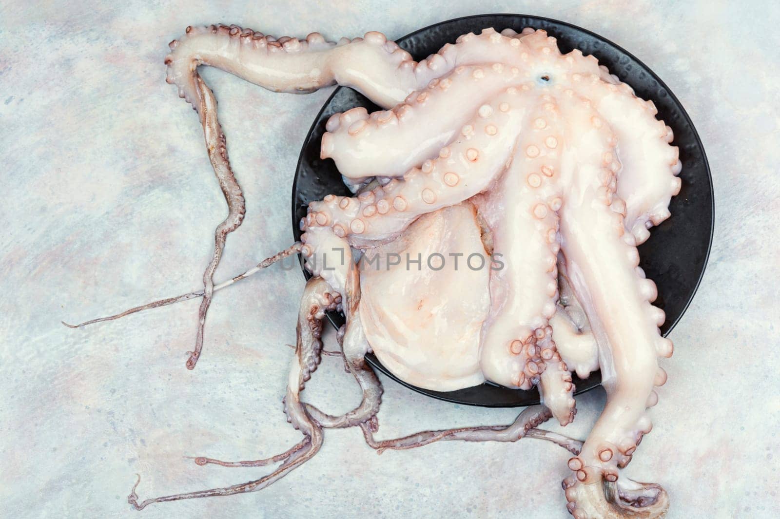 Fresh, whole octopus on table. Photo of a raw octopus, showcasing its intricate tentacles and texture.