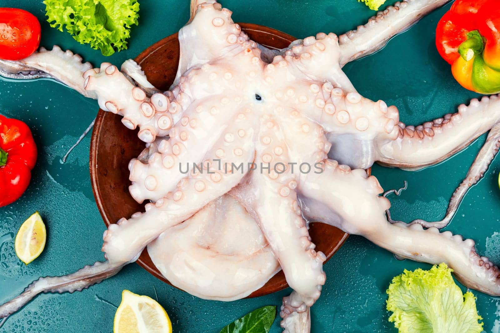 Fresh, whole octopus on table. Photo of a raw octopus, showcasing its intricate tentacles and texture.