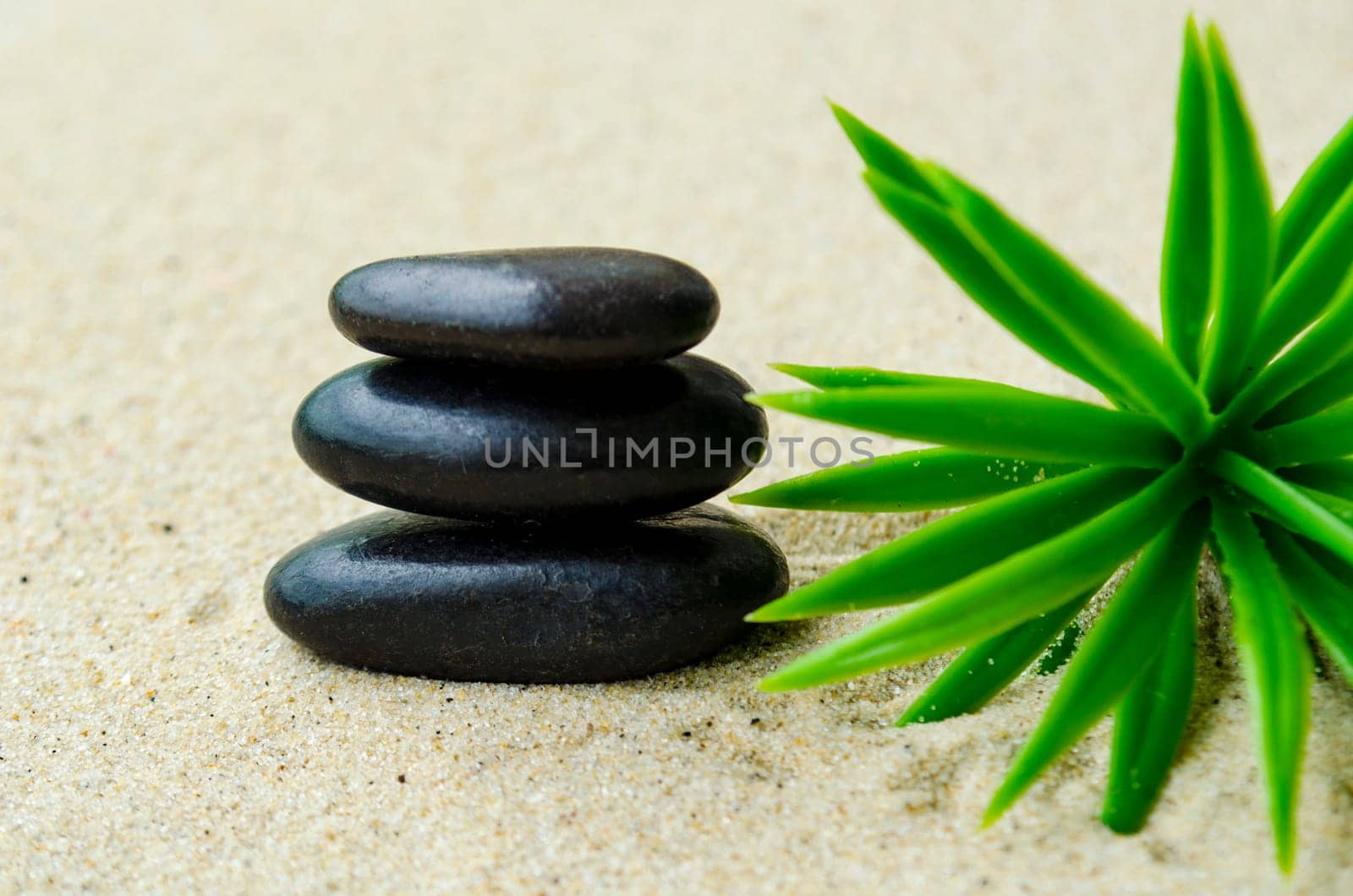 Black zen stone with plant background with customizable space for text or ideas.