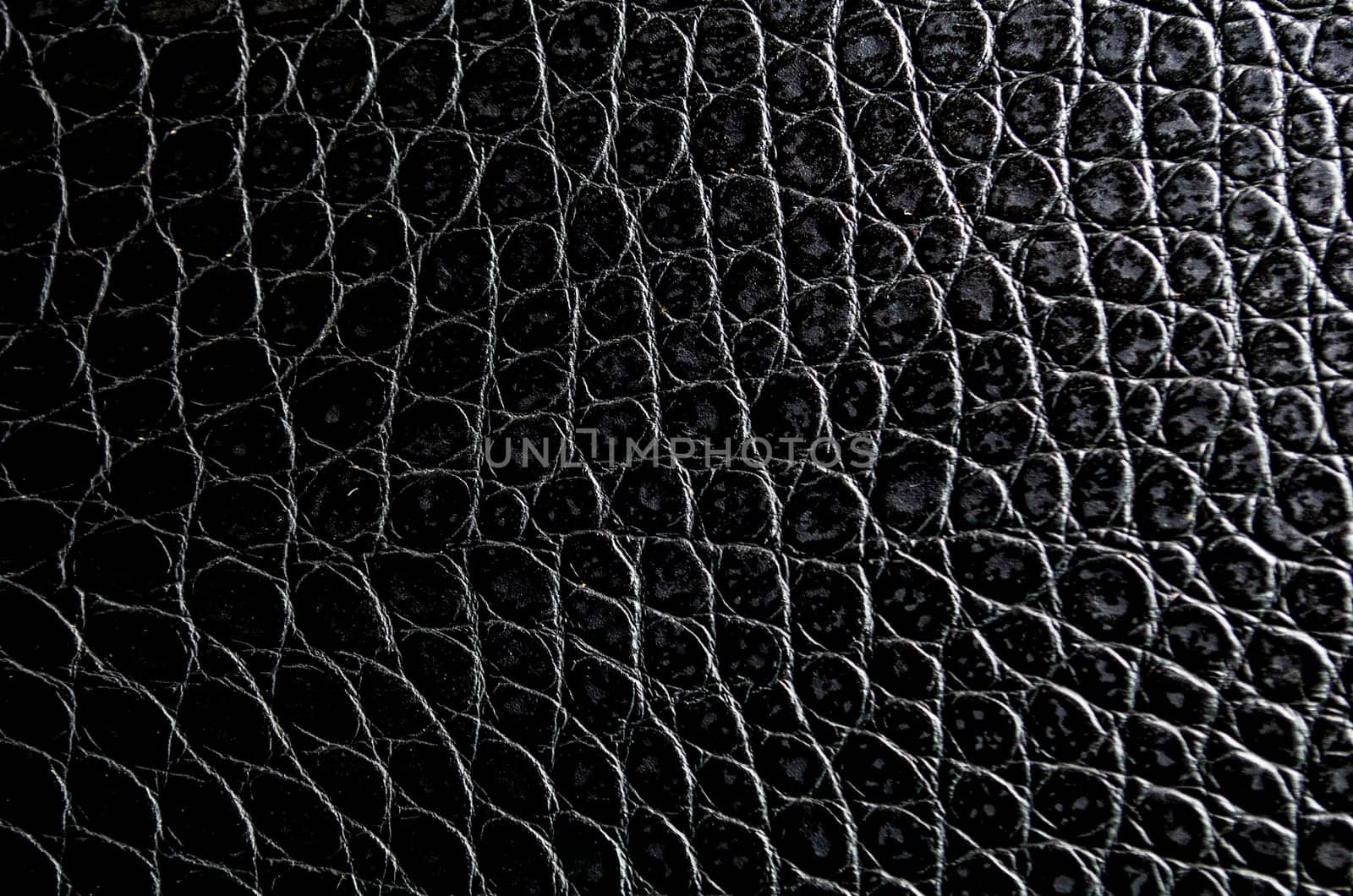 Crocodile skin artificial leather with customizable space for text or for mockup.