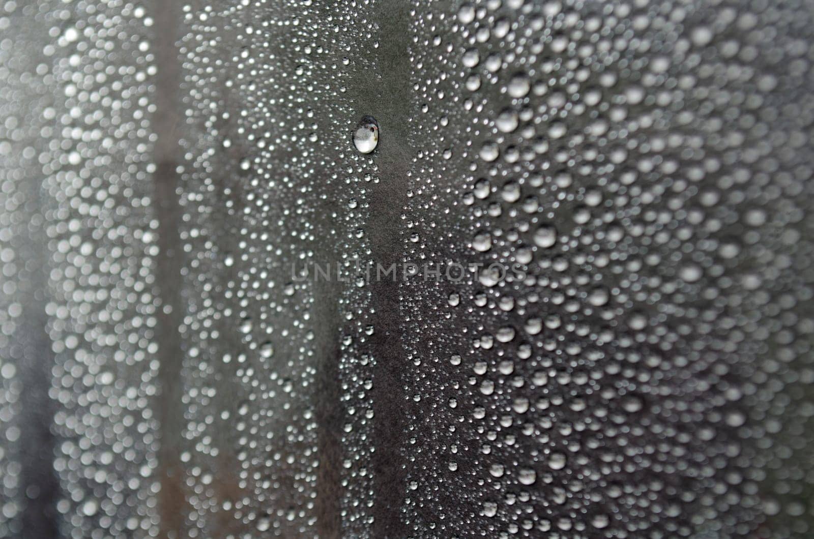 Small rain droplets on dark cover background. Suitable for wallpaper background.