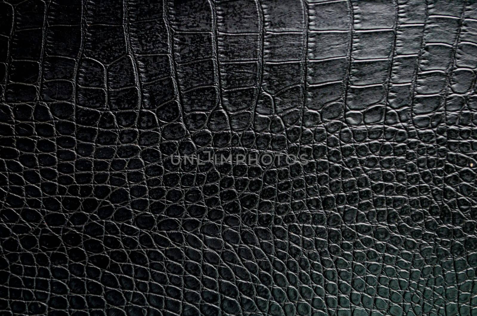 Black crocodile skin artificial leather with customizable space for text or for mockup.