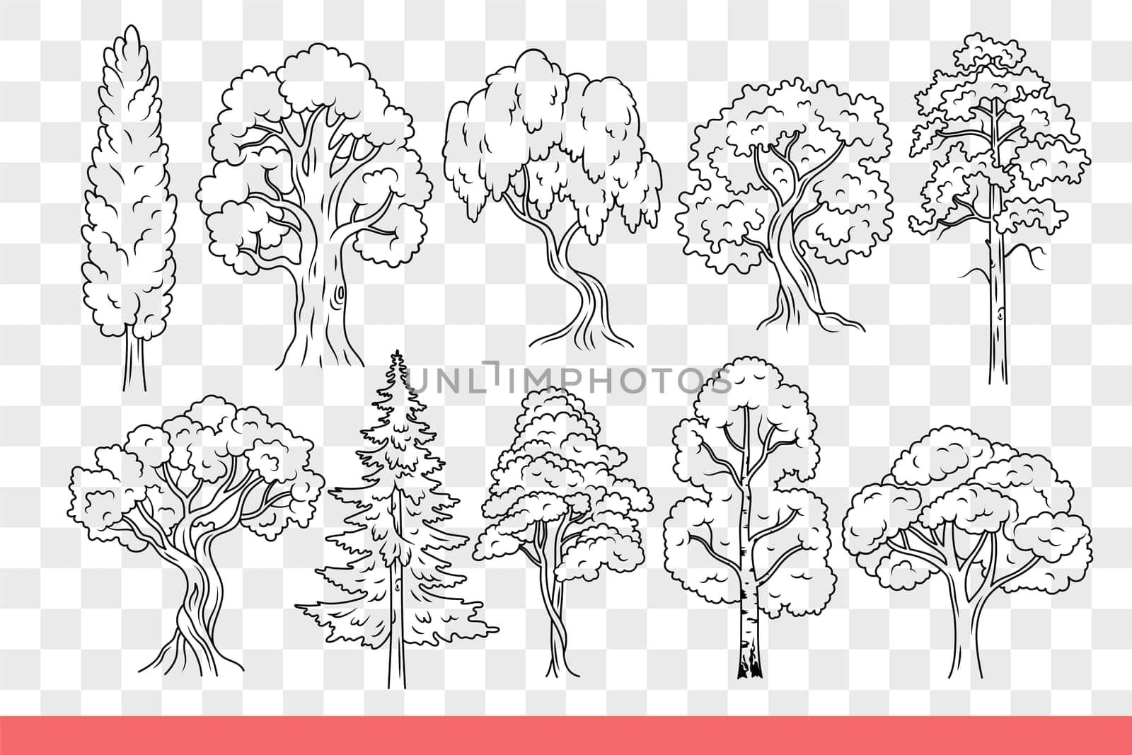 Trees with bushy crown of summer foliage, growing in city parks or wild wooded areas. Collection of trees of different varieties, with evergreen fir or birch with spring petals. Hand drawn.