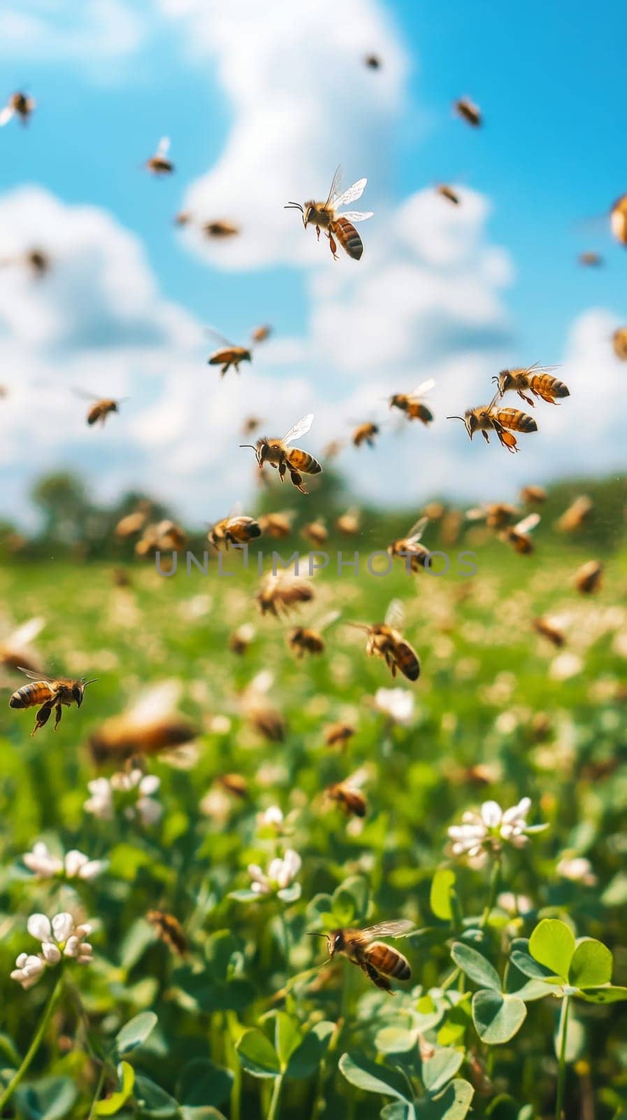 A swarm of honey bees flying over a lush green meadow filled with white clover flowers, highlighting the importance of pollinators in natural ecosystems.