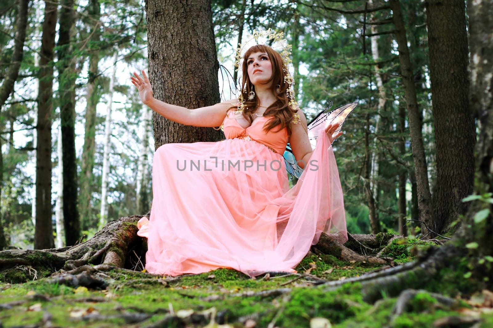 A beautiful elf with a crown and wings sits in a forest