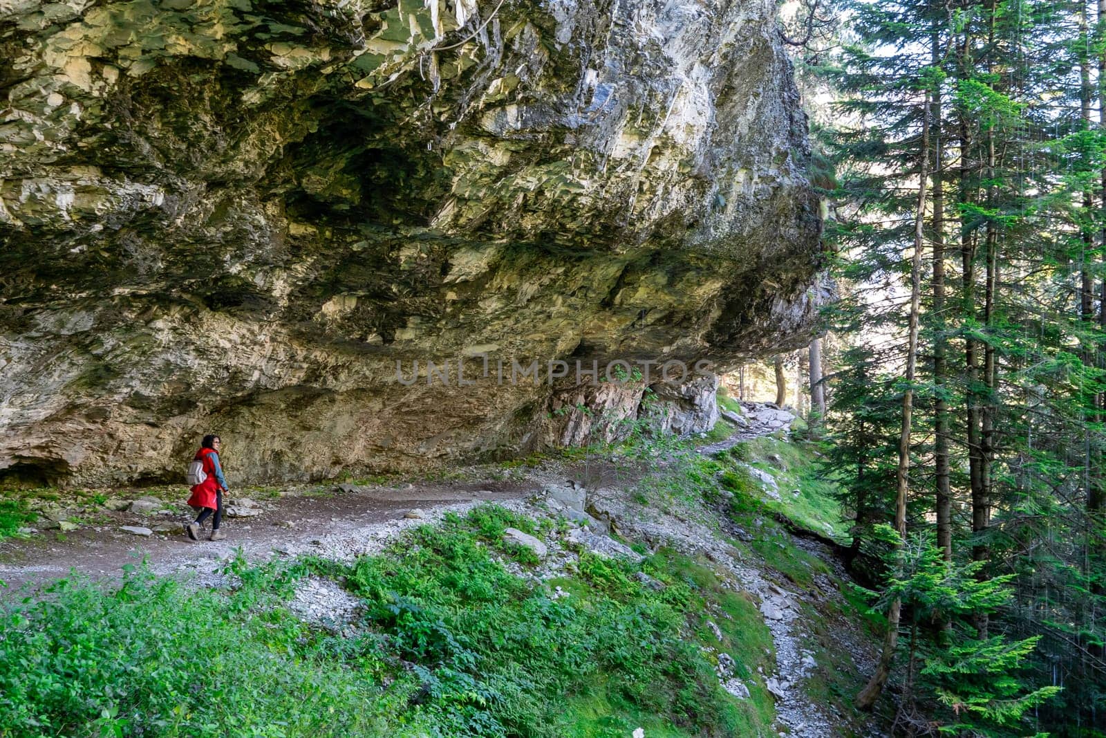 A person is walking on a path in the woods. The path is narrow and rocky, and the trees are tall and green. Scene is peaceful and serene, as the person is surrounded by nature
