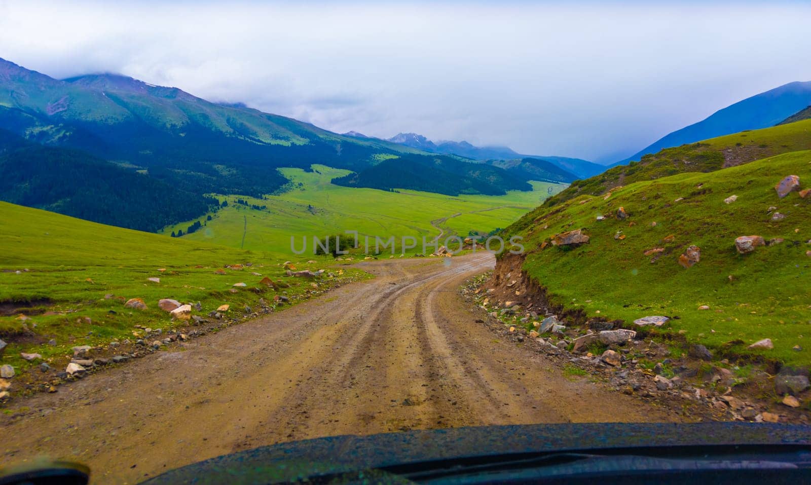 driving along the dirt road at rainy summer day in mountains with spruce forest on mountain slope, view from driver perspective