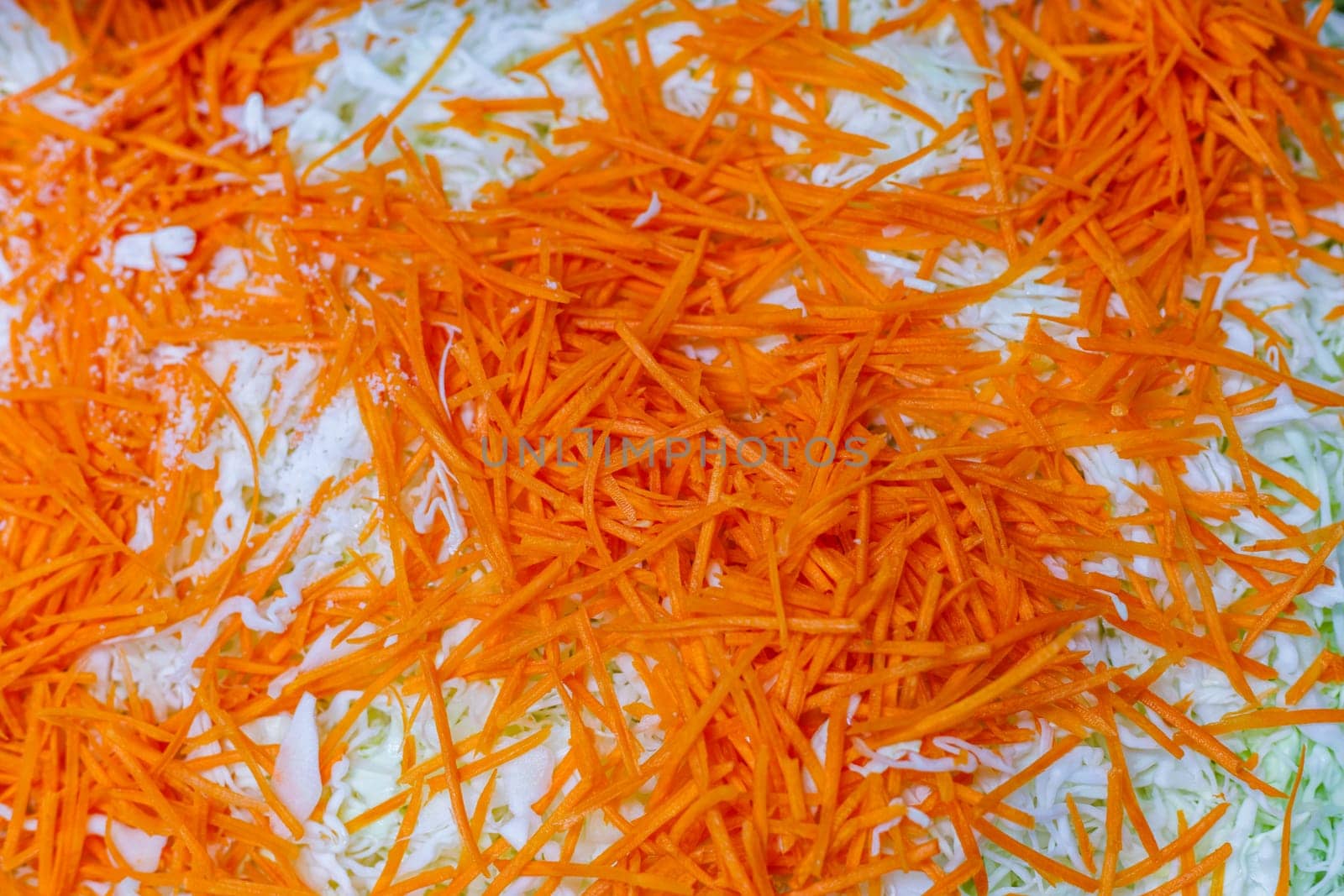 grated carrot over chopped cabbage, high angle view