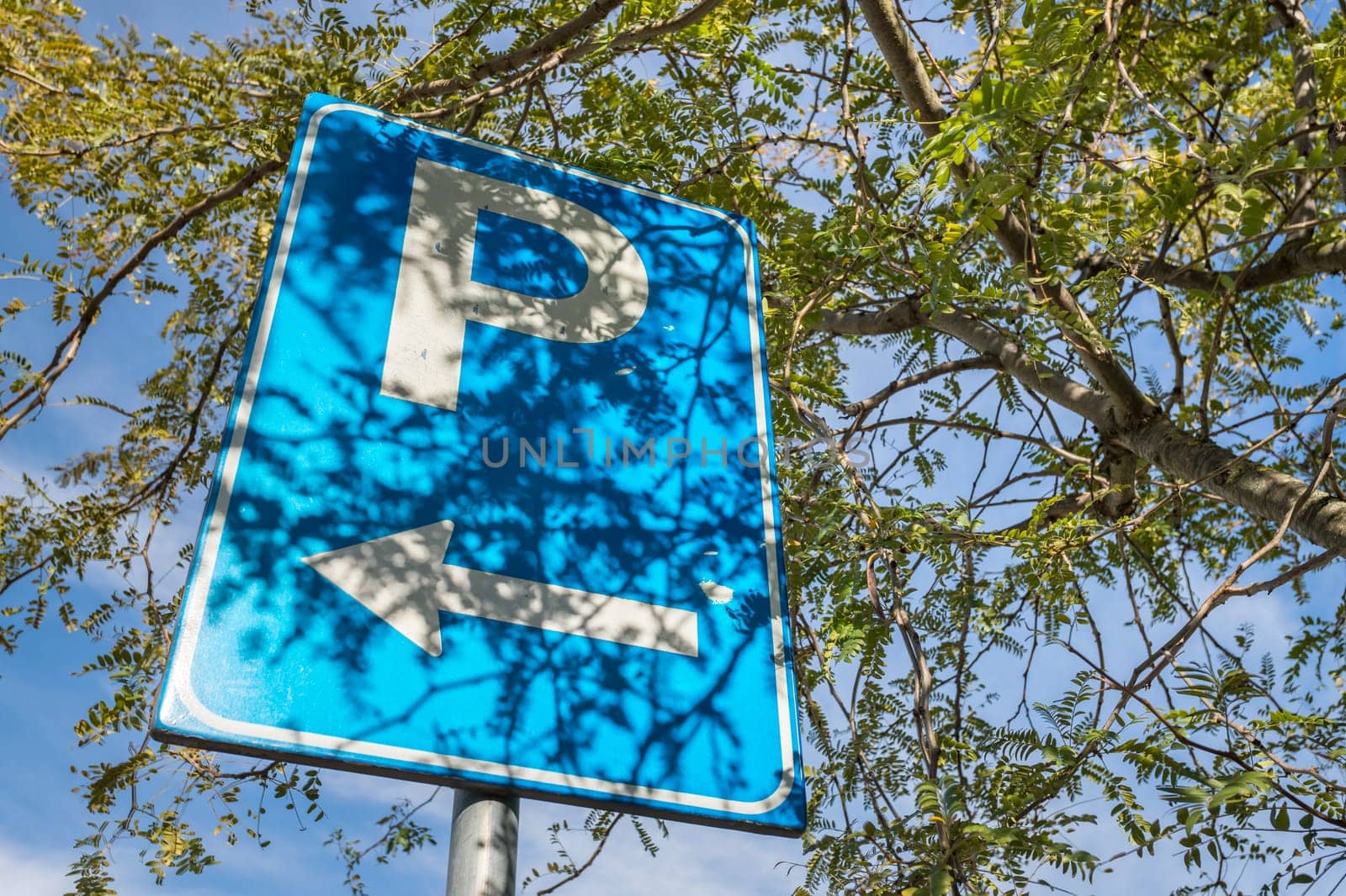 Free parking signal. Next to it, tree and hedge. Bottom view.