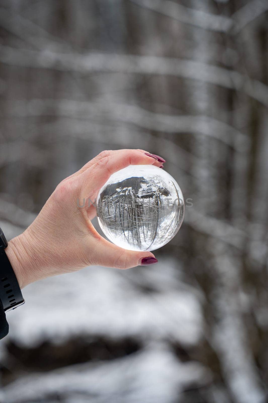Human hand holding a glass ball, trees reflected in it on a cold winter day with lots of snow