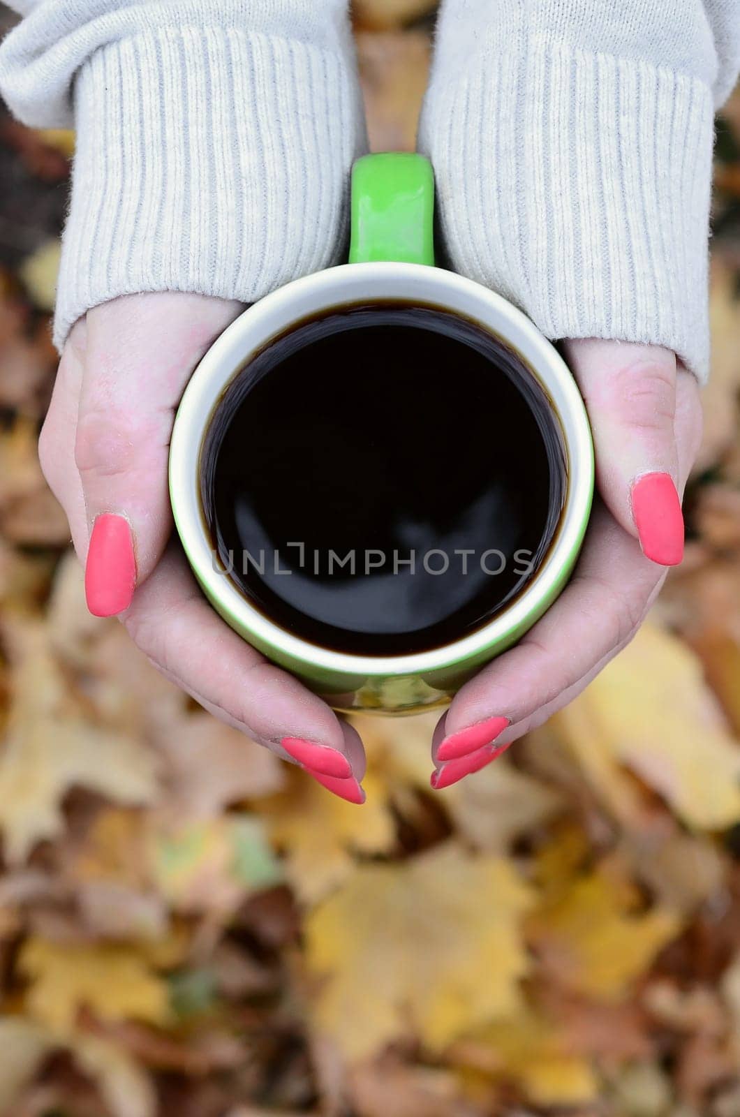 Woman wearing white sweater in their hands holding a green coffee cup in a relaxed mood on foliage background. Flat lay top view