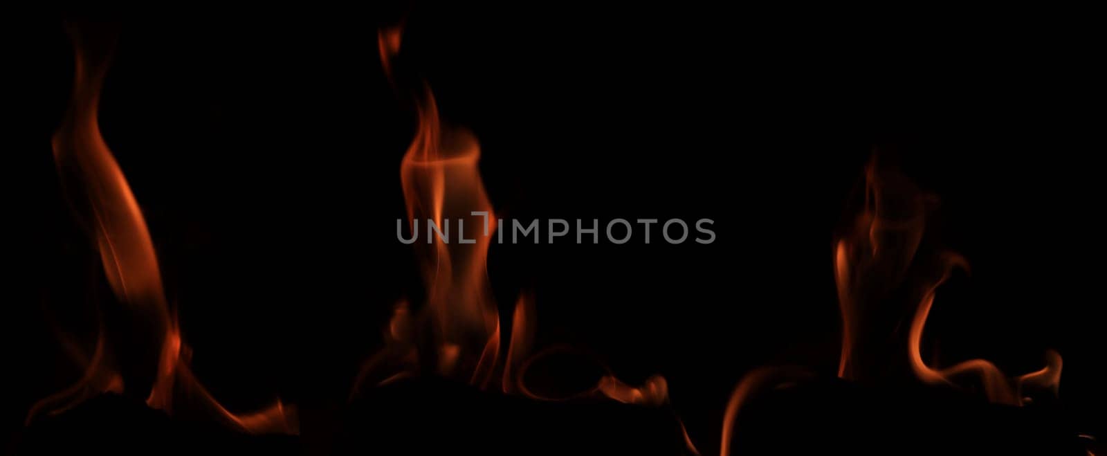 Various flames from a fire against a black background