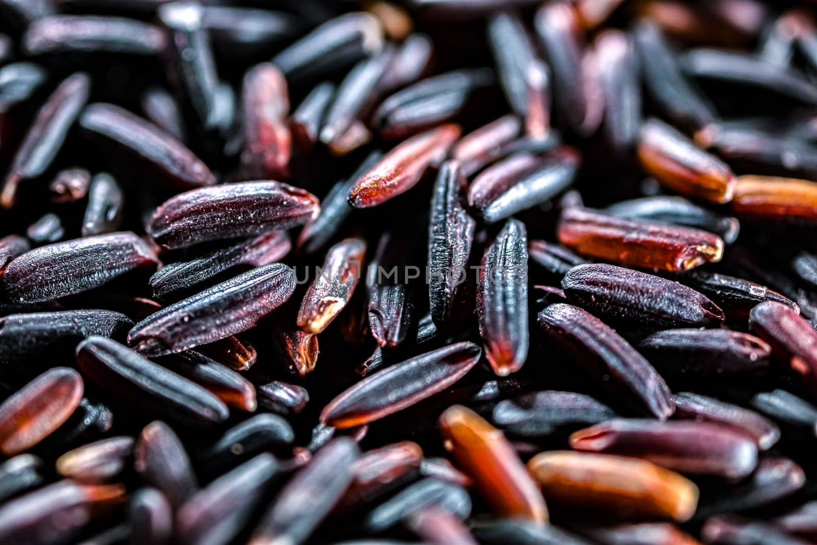 Close-up of black rice or purple rice