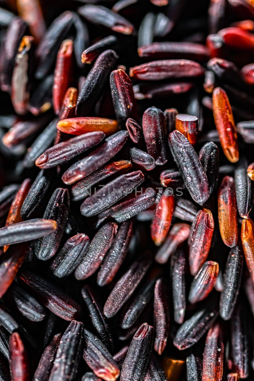 Close-up of black rice or purple rice