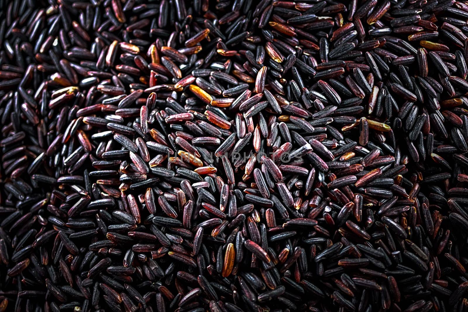 Close-up of black rice or purple rice