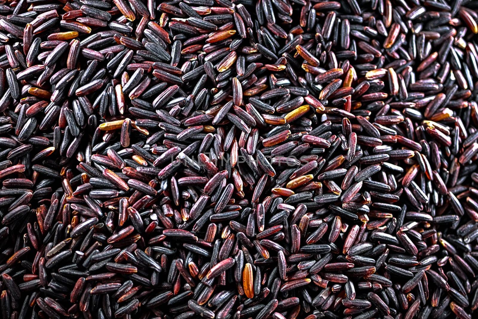 Close-up of black rice or purple rice