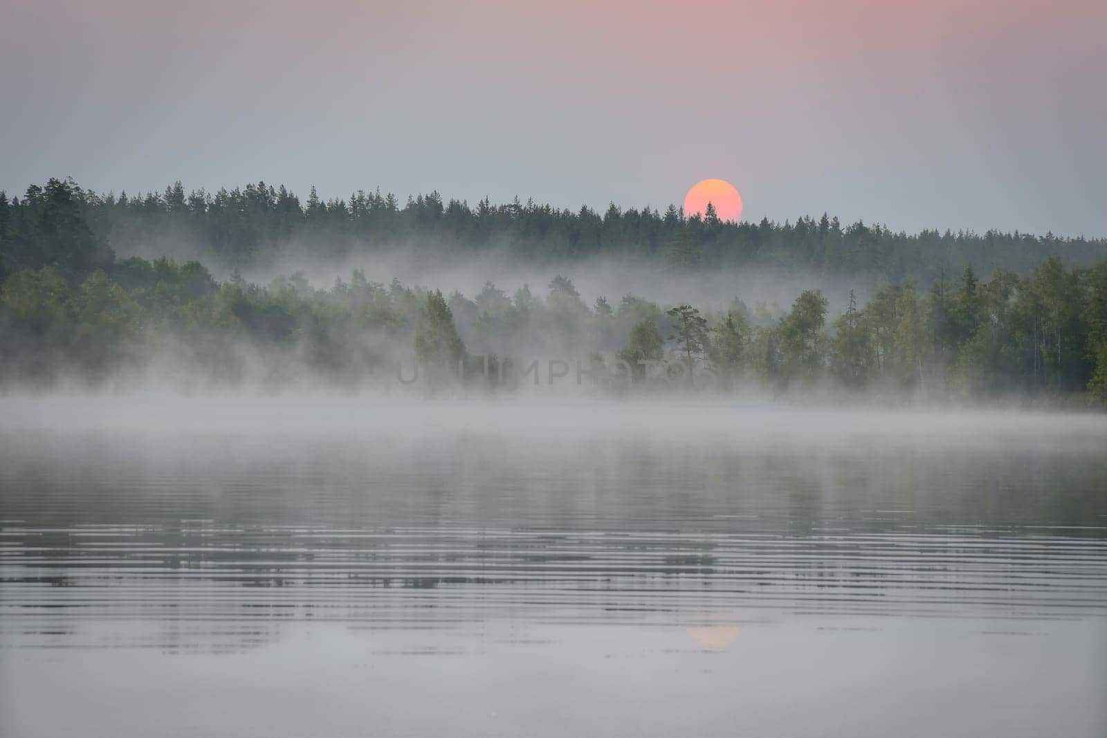Sunrise with fog forming over a lake in Sweden, at dawn. Romantic silence, in the Scandinavian nature