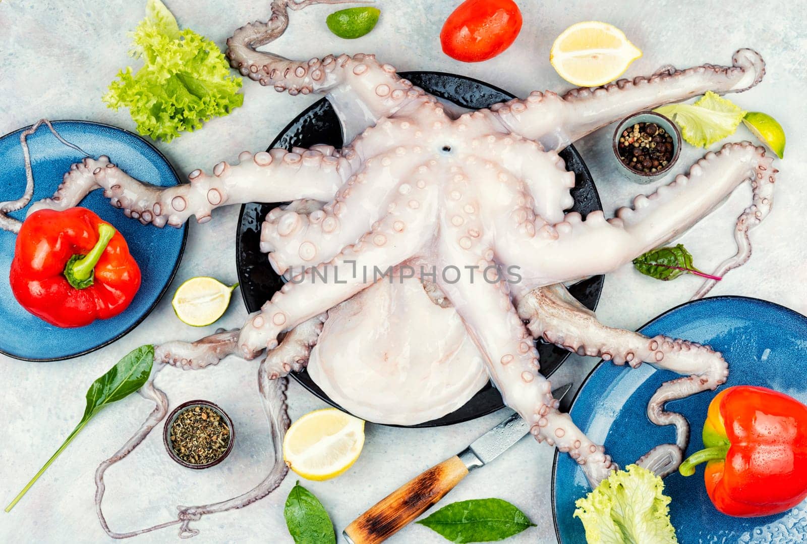 Close up of raw octopus. Raw octopus with ingredients for cooking preparation.