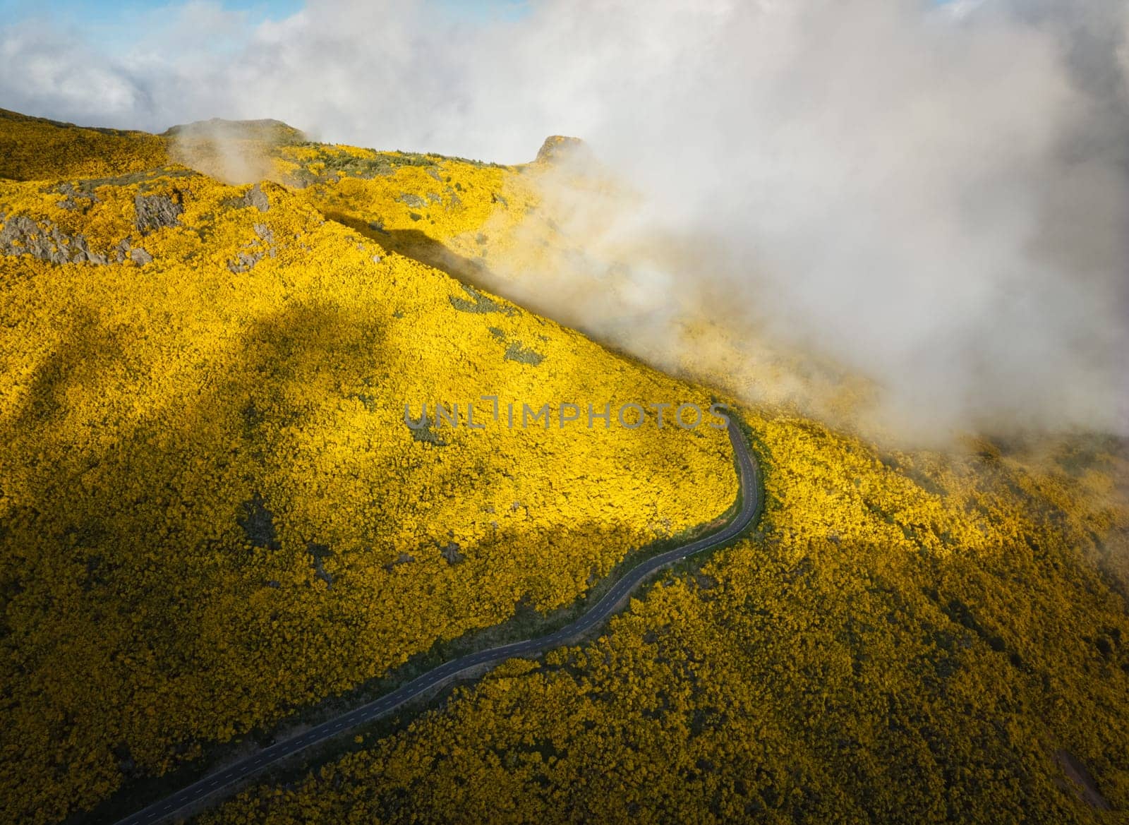 Aerial view of road among yellow Cytisus blooming shrubs near Pico do Arieiro, Portugal in clouds