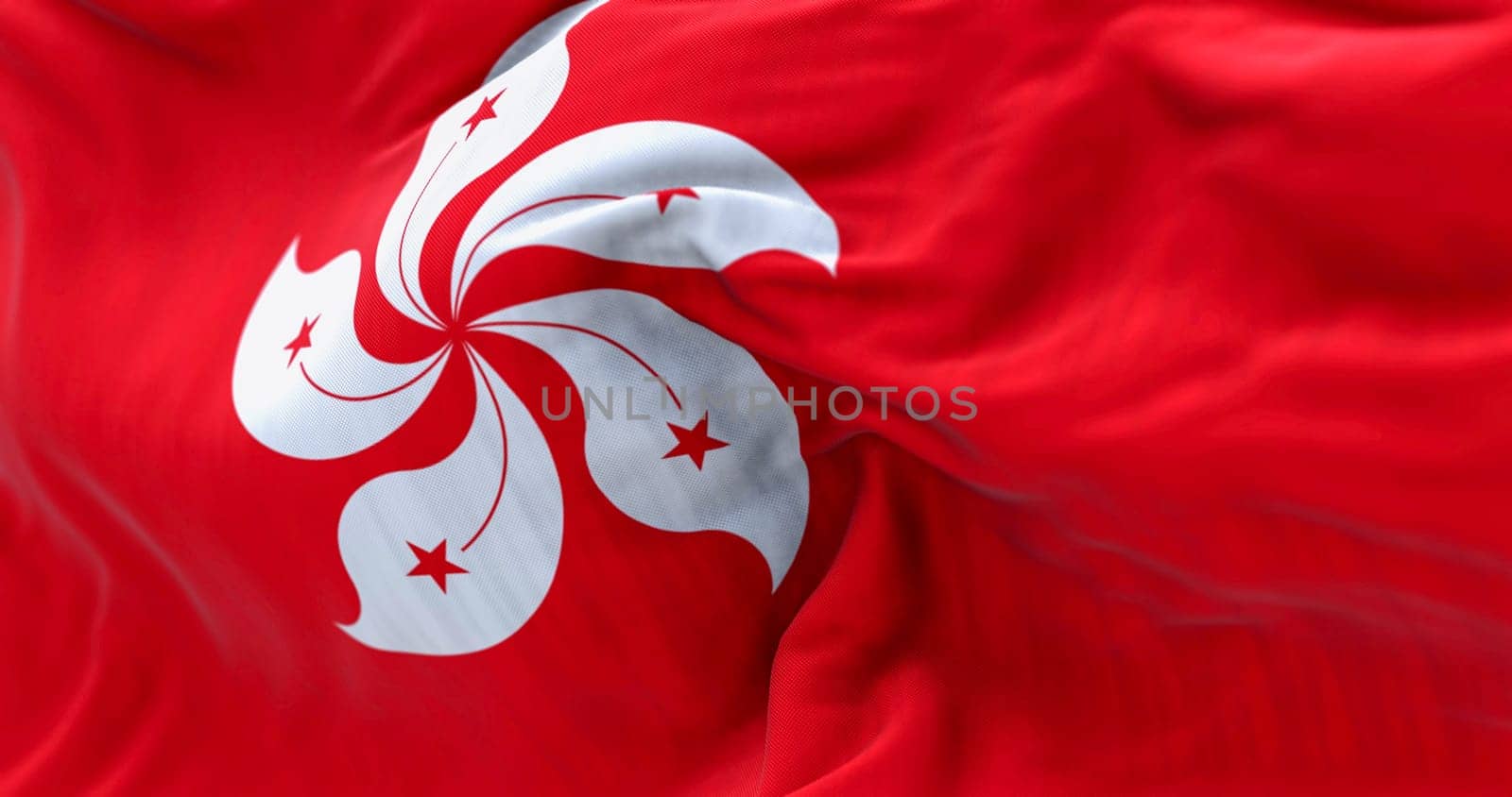 Close-up of Hong Kong flag waving. Red field with a white, stylized, five-petal Hong Kong orchid tree flower. 3d illustration render. Rippling fabric. Textured textile background