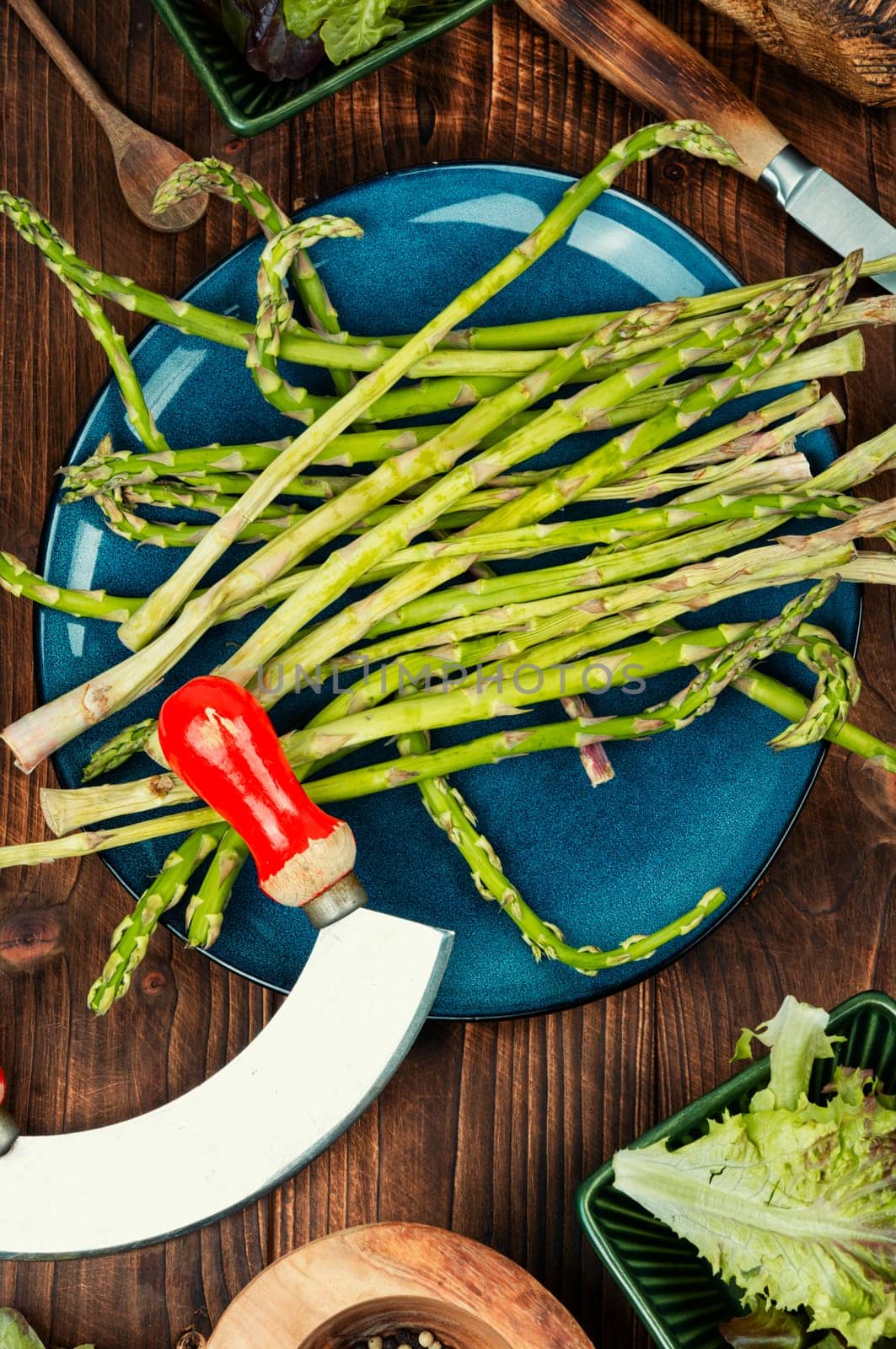 Bunch of raw asparagus stems. Uncooked and fresh asparagus. New season of asparagus