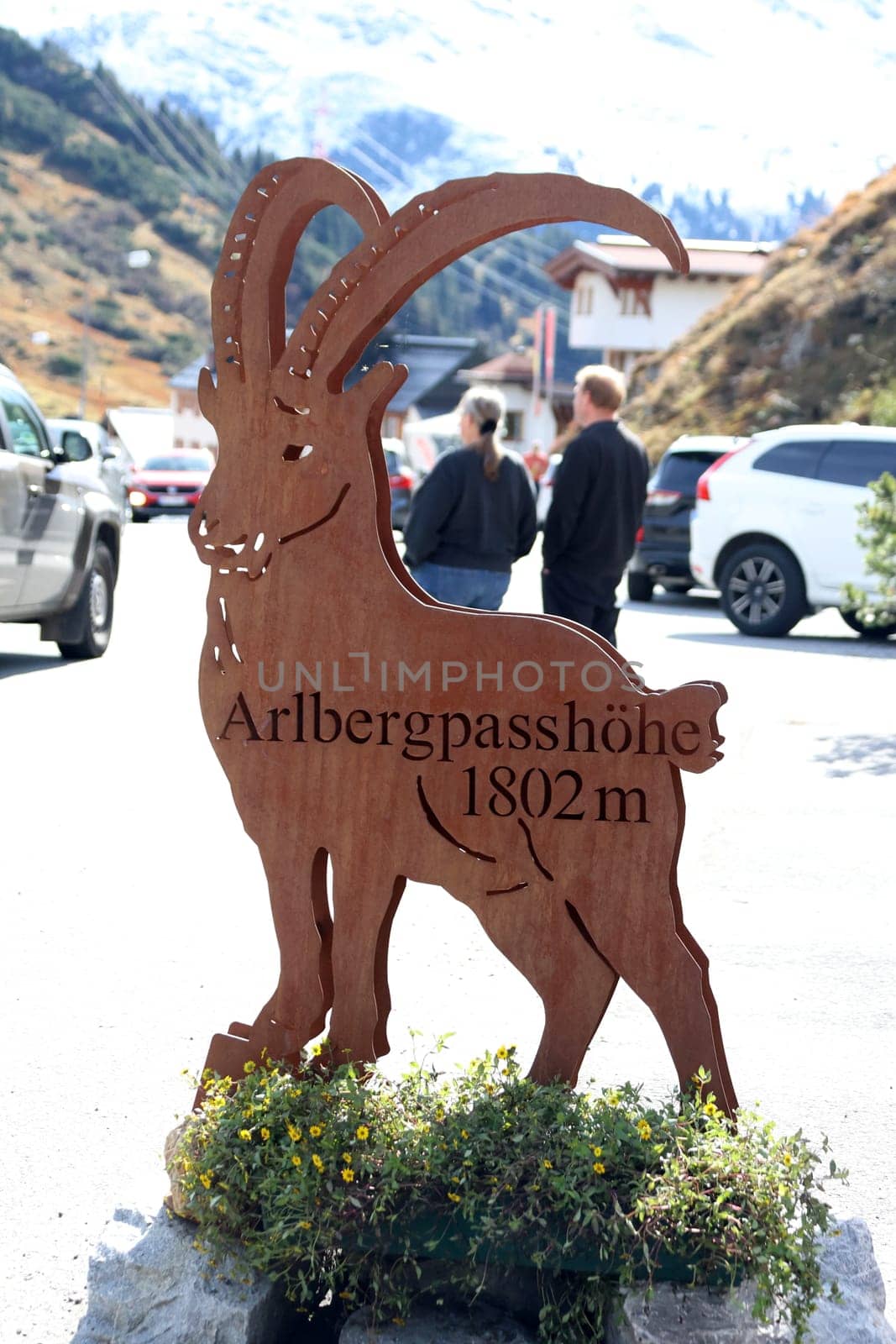 Ibex on the Arlberg Pass in St. Christoph on the Arlbergoaßin 1,802 meters above sea level