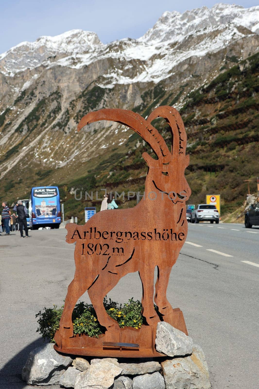 Ibex on the Arlberg Pass in St. Christoph on the Arlbergoaßin 1,802 meters above sea level