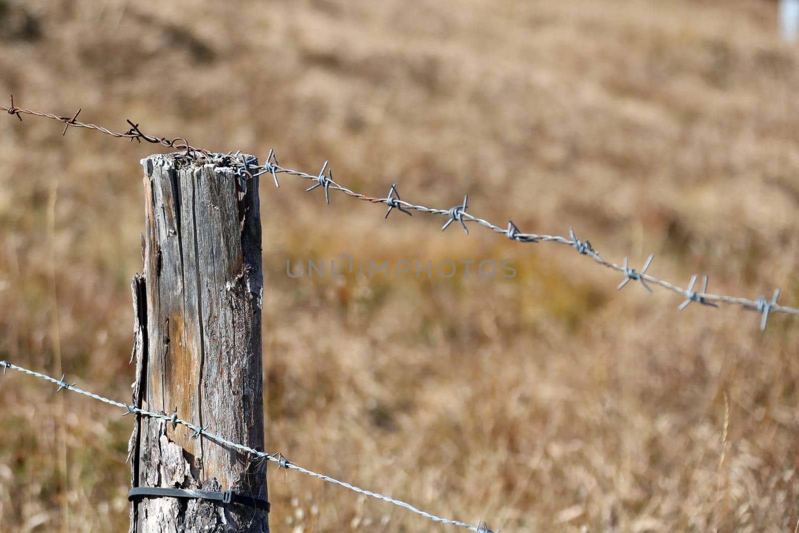 Barrier with a barbed wire fence in the hiking paradise Roßkopf in South Tyrol / Alto Adige