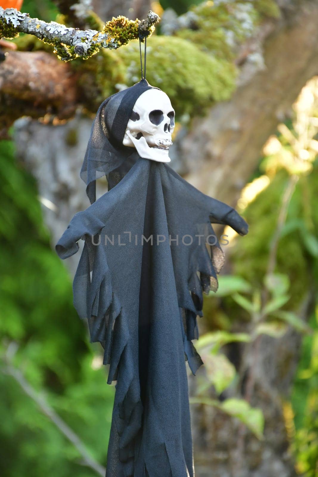 Halloween ghosts decorated in a garden