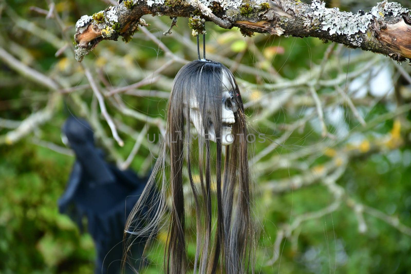Halloween ghost skull decorated in a garden