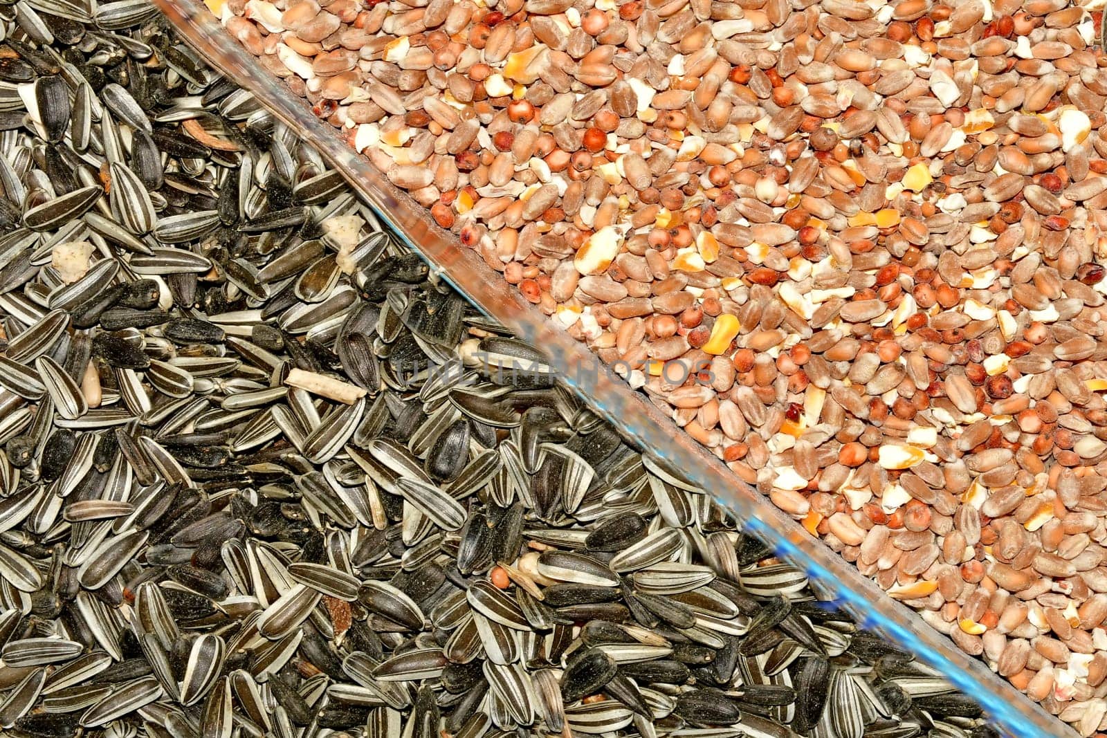 Bird food, sunflower seeds and grain
