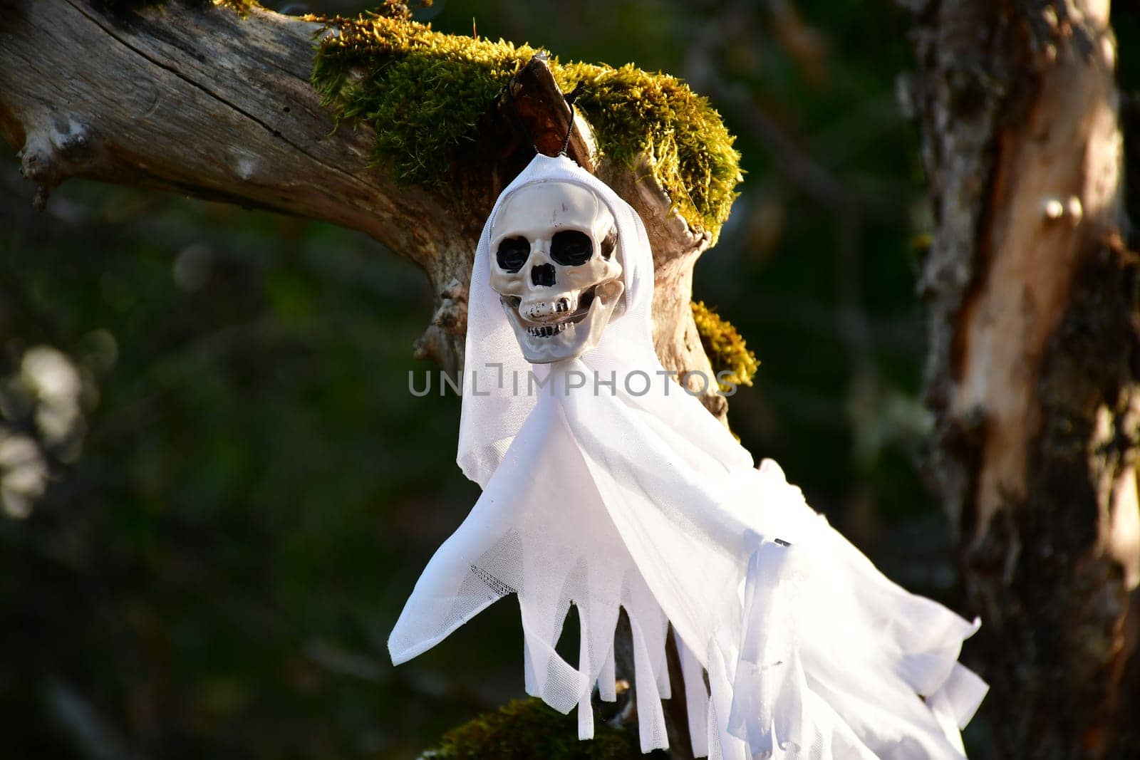 Halloween ghost skull decorated in a garden