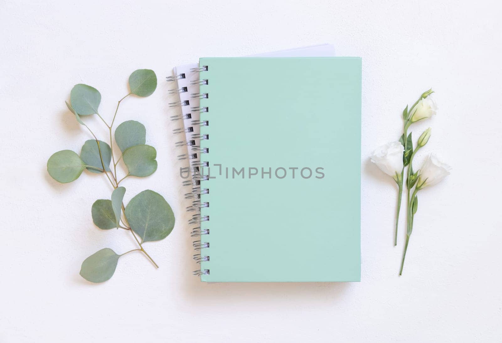 Light green spiral notebook on a white table near green eucalyptus twigs and flowers top view, Blank textbook mockup. Minimal school flat lay.