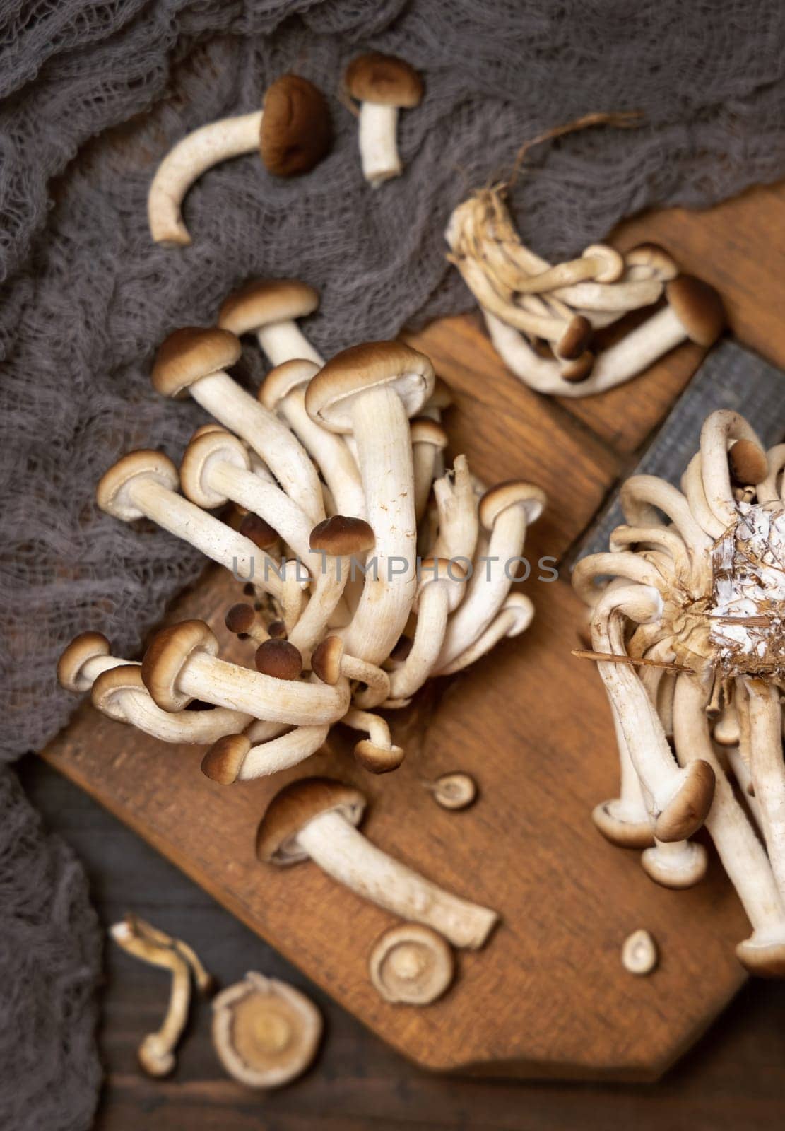 Cluster of fresh raw brown poplar mushrooms or velvet pioppini mushrooms (Cyclocybe aegerita) on dark wood top view. Cultivated edible mushrooms, healthy food