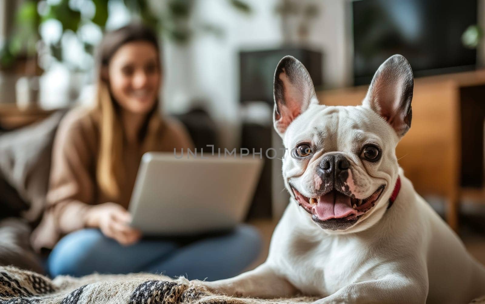 Happy French Bulldog with woman using laptop on couch, illustrating work-life balance and pet companionship in home office setting.