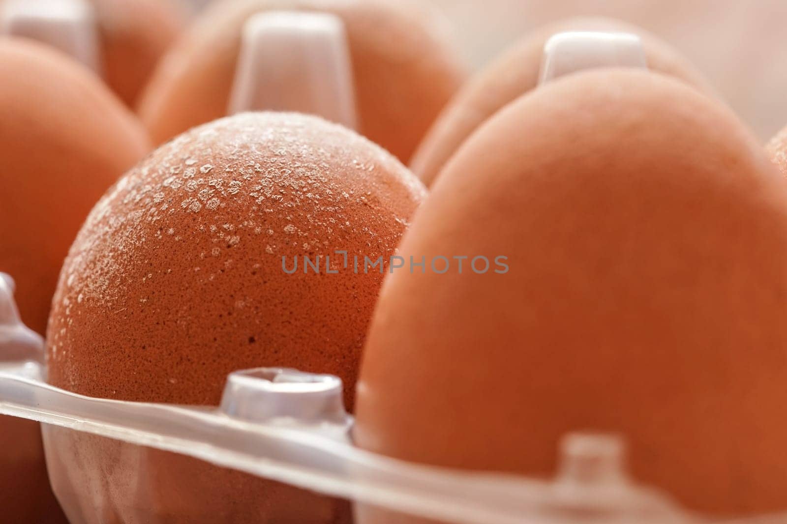 White mildew / mould growing on shell of eggs stored improperly in wet and cold fridge for long time
